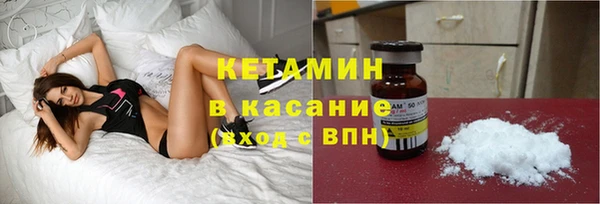 шишки Абаза