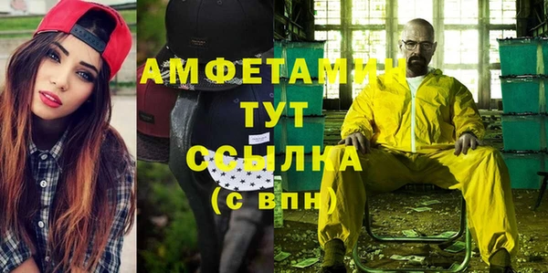 шишки Абаза