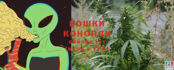 шишки Абаза