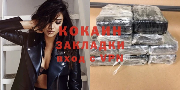 шишки Абаза