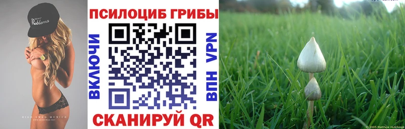 Галлюциногенные грибы Magic Shrooms  Ирбит 