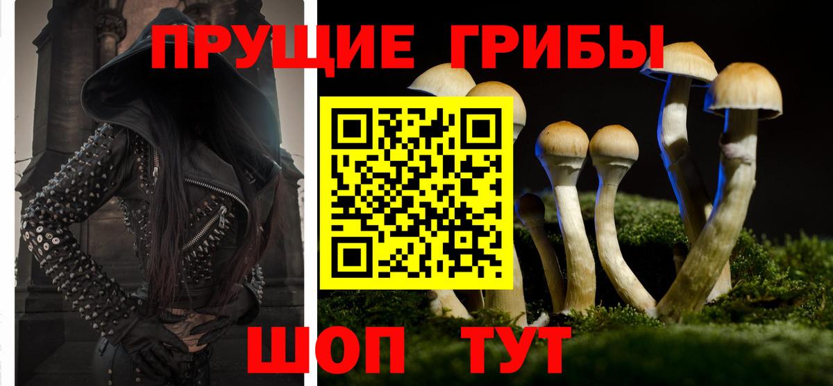 Ирбит  дарнет шоп  Вход с VPN  Галлюциногенные грибы Psilocybe 